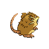 raticateback default