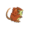 raticateback shiny